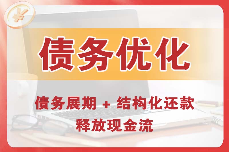 禹城债务优化