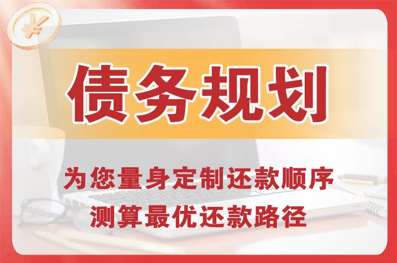 禹城债务规划